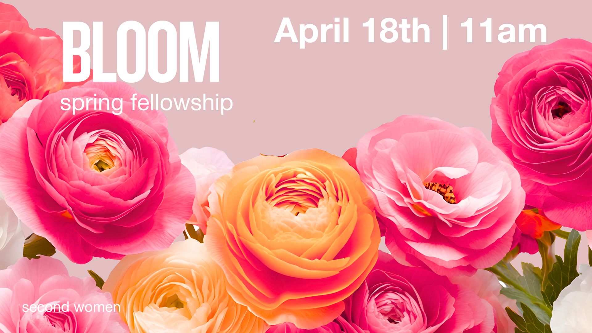 Second Women’s Bloom 2026